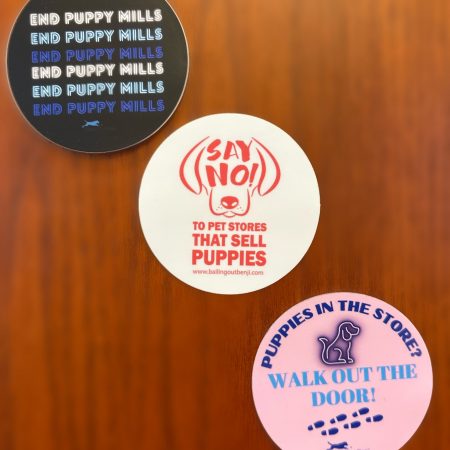 Stickers- No Puppy Stores!