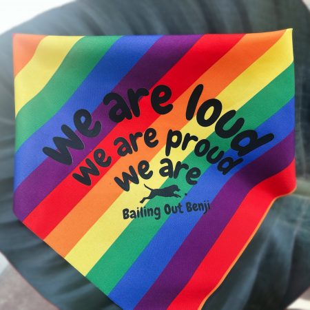 LOUD and PROUD Bandana